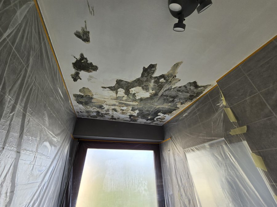 Moisissures plafond dégât des eaux